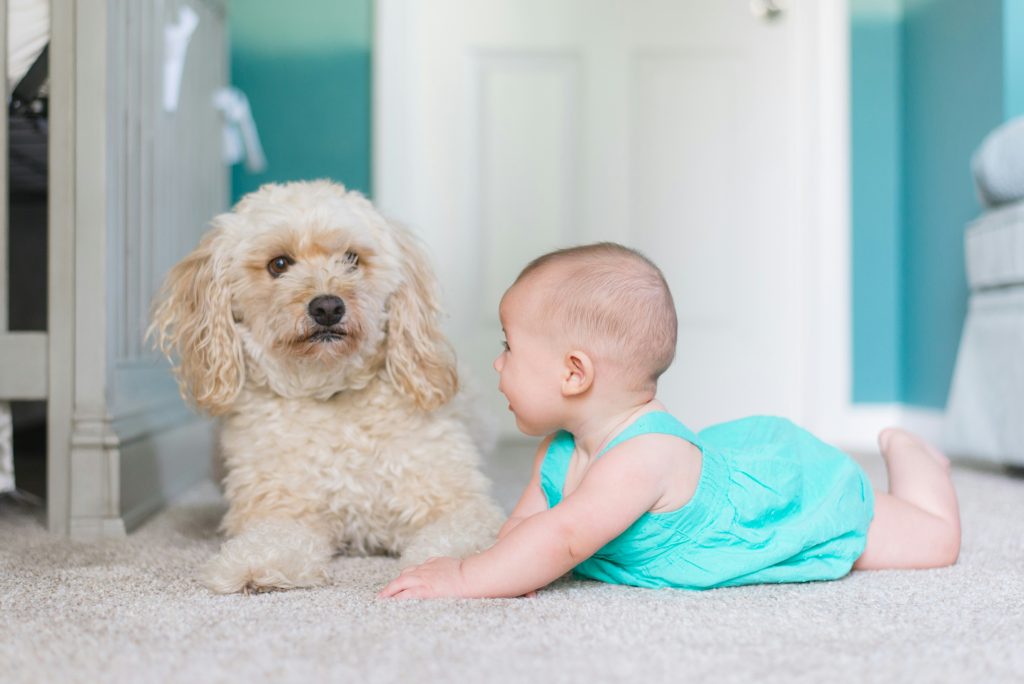 Building a Lasting Bond