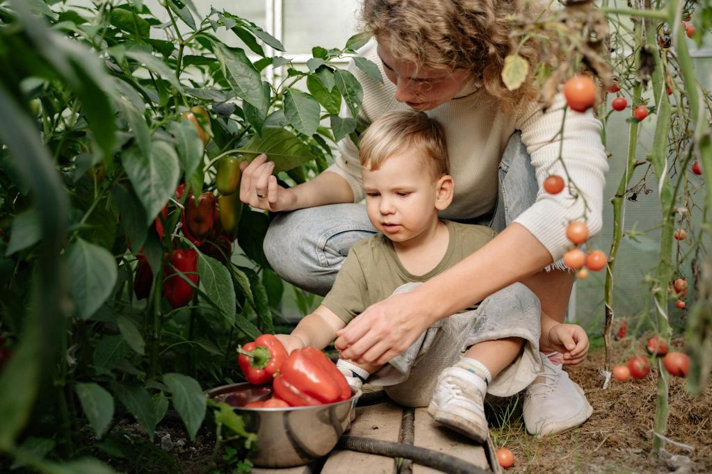 Exploring Fruit Options