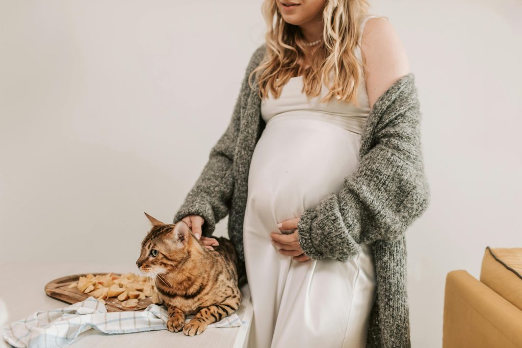 Preparing Your Pet for the New Arrival