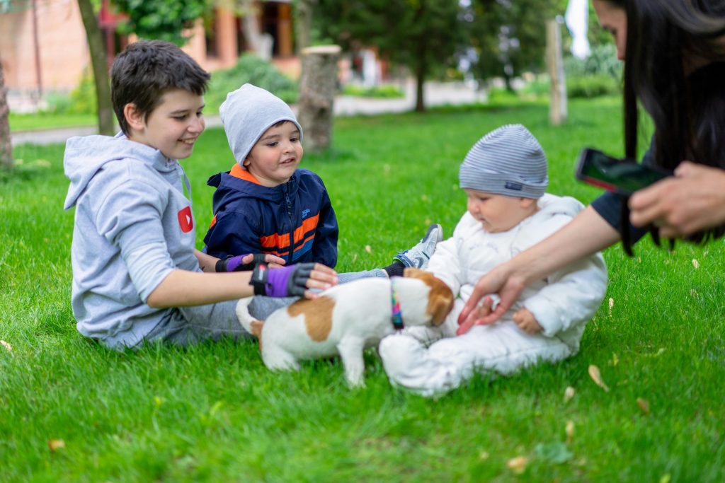 The First Meeting Baby and pet